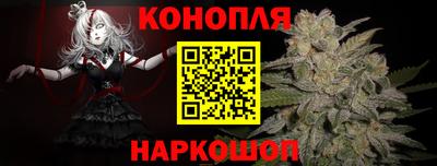 сатива Обнинск