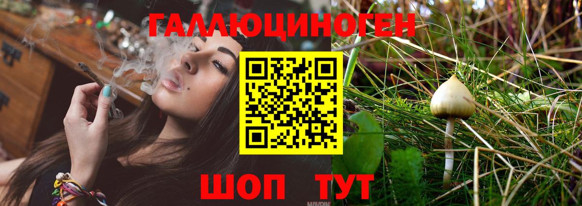 Псилоцибиновые грибы мицелий Алапаевск