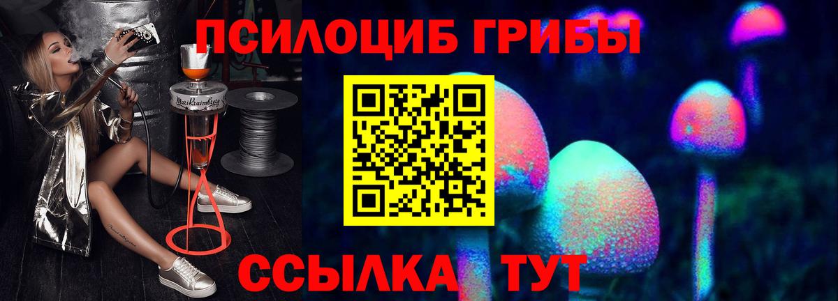 Псилоцибиновые грибы мицелий  Вход с VPN  закладка  Алапаевск 